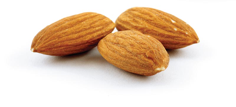 Munchme munchme – All natural, plant-based wholefood snacks.